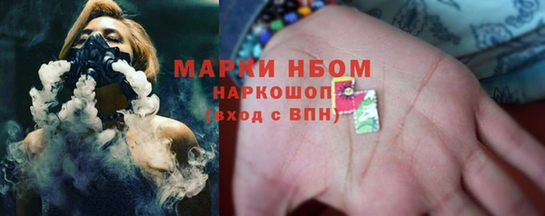 индика Армянск