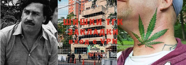индика Армянск