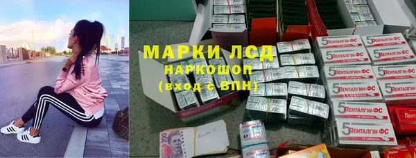 индика Армянск