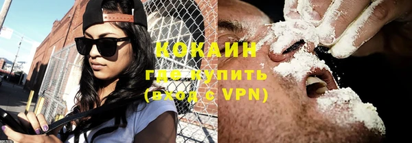 индика Армянск