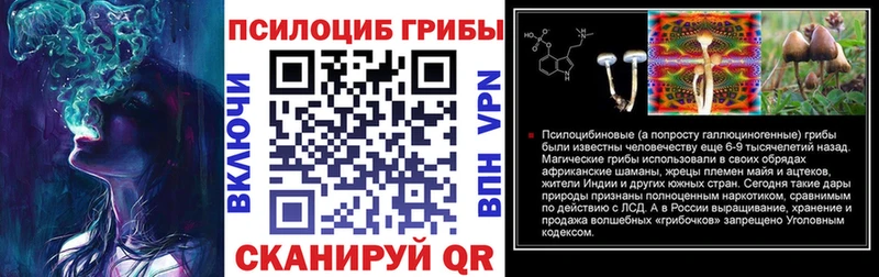 Псилоцибиновые грибы мухоморы закладки Калач-на-Дону